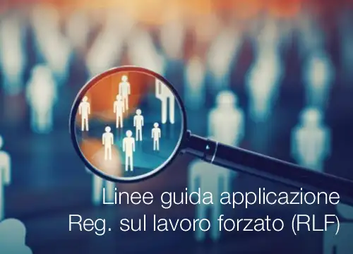 Linee guida applicazione regolamento sul lavoro forzato (RLF)